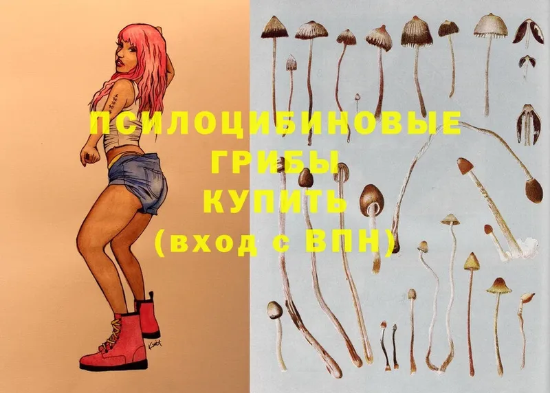 Псилоцибиновые грибы Magic Shrooms  где можно купить наркотик  ОМГ ОМГ сайт  Муравленко 